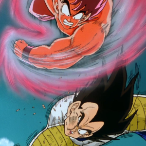 Goku vs. Vegeta