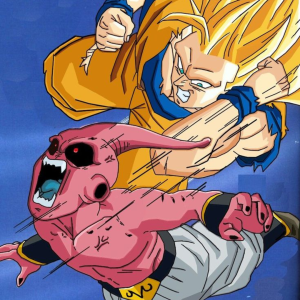 Goku vs. Majin Buu