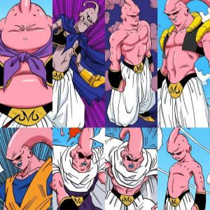 Buu’s Transformation